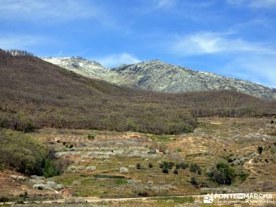 Cerezos en flor en el Valle del Jerte - ruta senderismo;buitrago de lozoya madroño patones